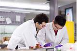 Photos of Biomedical Engineering School Rankings