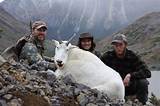 Mountain Goat Hunting Images
