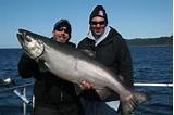 When Is The Best Time For Salmon Fishing In Alaska