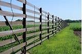 Living Fence Posts Photos