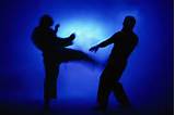 Best Martial Art Pictures Images