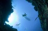 Grand Cayman Scuba Diving Packages