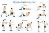 Muscular Fitness Exercises Images