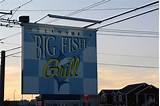 Pictures of Big Fish Rehoboth Beach Delaware