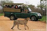 Tours Of Kruger National Park From Johannesburg Images