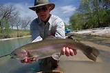 Pictures of Fly Fishing Near Dallas