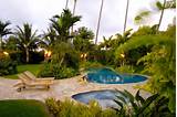 Images of Tropical Pool Landscaping Pictures