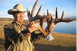 Canadian Mule Deer Hunting Outfitters Pictures