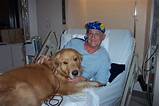 Service Dogs For Dementia Patients Images