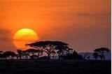Photos of Where Is The Serengeti National Park