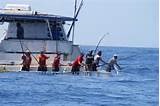 Photos of Small Boat Offshore Fishing