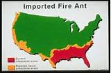 Fire Ants Us Map Images