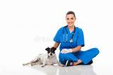 Pet Doctor Vet Photos