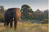 Images of Kruger National Park Luxury Safari