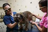 Photos of Banfield Pet Hospital Seminole Fl