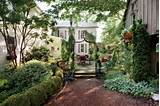 Pictures of Southern Living Landscape Plants