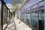 Photos of Dog Kennels For Boarding Facilities