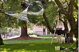 University Of Washington Art Images