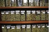 Jobs In The Marijuana Industry In Colorado Images