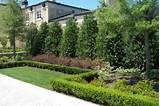 Images of Privacy Landscaping