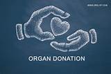Organ Donation Color Pictures