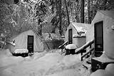 Yosemite Reservations Curry Village Cabins Pictures