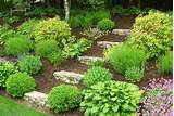 Backyard Landscaping Hill Photos