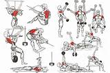 Exercise Program Muscle Building Images
