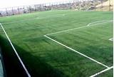 Images of Artificial Grass Cost For Soccer Field
