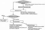 Management Of Acute Pancreatitis Guidelines