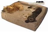 Pet Dog Beds Sale Images