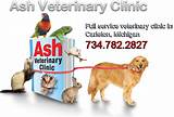 Images of Veterinary Clinic For Rabbits