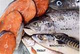 Photos of Which Fish Has Omega 3