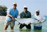Boca Grande Tarpon Fishing Guides Images