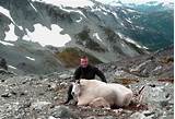 Photos of Mountain Goat Hunting