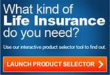 Free Universal Life Insurance Quotes Online Photos
