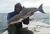 Fishing Charters Near Cocoa Beach Pictures