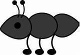 Black And White Ants Images