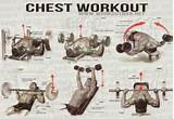 Bodybuilding Exercises Upper Body Photos