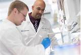 Cleveland Clinic Stem Cell Research