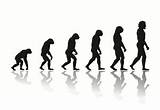 Pictures of Charles Darwin Theory Evolution Of Man