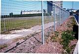 Images of Welded Wire Fencing 4 4 Mesh