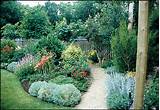 Pictures of Easy Care Landscape Plants