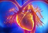 Pictures of Electricity Of The Heart