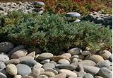 Pictures of River Rocks In Landscaping