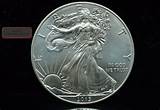 American Eagle Silver Dollar 2013 Images