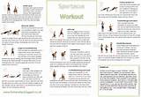 Images of Workout Routine Cutting