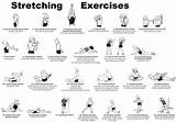 Photos of Dynamic Stretching Exercises