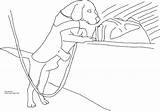 Service Dog Coloring Pages Pictures