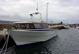 Charter Boats For Fishing Images